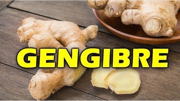 Gengibre faz mal para mulheres grávidas? Quais os benefícios do gengibre?