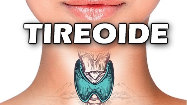 Problemas na tireoide, quais os sintomas? O que é tireoide? Qual a função da tireoide?