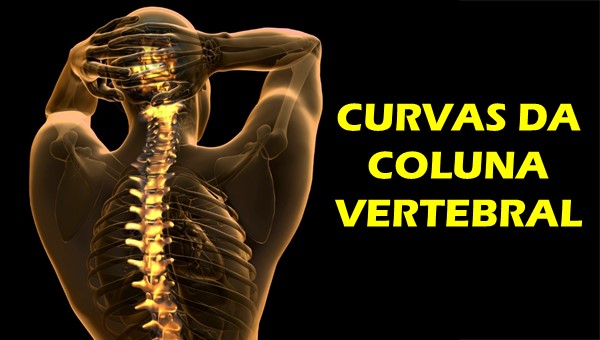 Coluna vertebral, o que é?