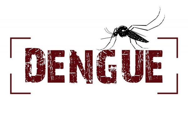 Mosquito da dengue, como saber?