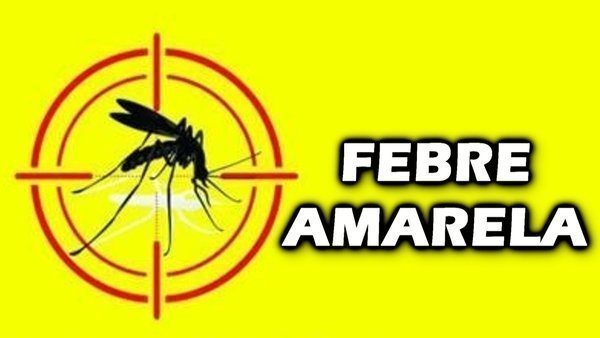 Sintoma febre amarela, quais são?