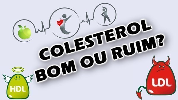 Colesterol hdl e colesterol ldl, qual a diferença?