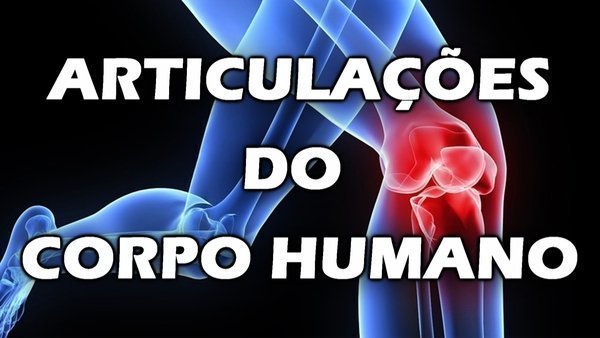 Tipos de articulações