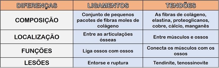 Quais são os tendões da mão?