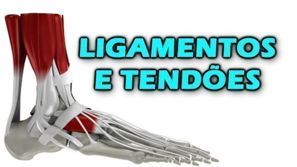 Ligamentos do joelho