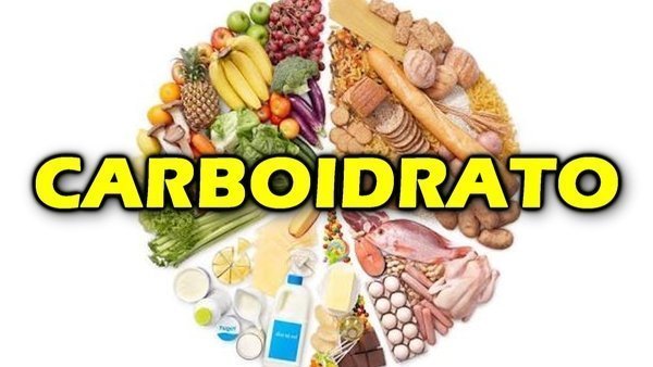 Carboidratos, tipos e funções!