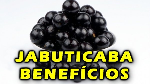 Geleia de jabuticaba, licor de jabuticaba, mousse de jabuticaba