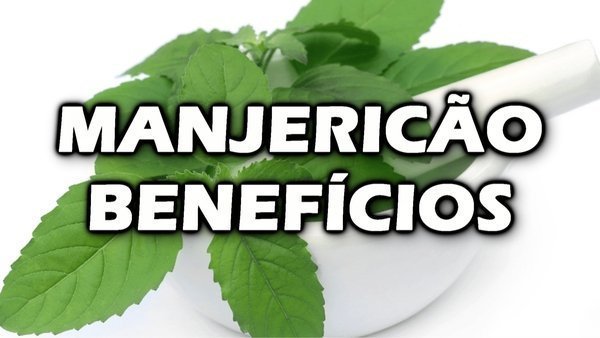 Efeitos colaterais do manjericão