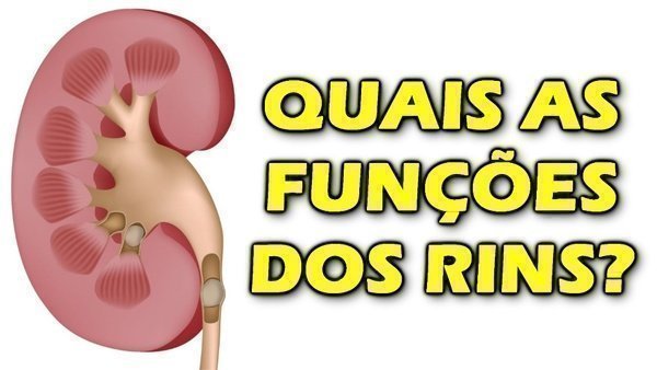 Pedra nos rins e outras doenças renais