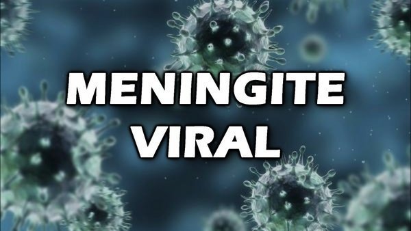 Sintomas da meningite