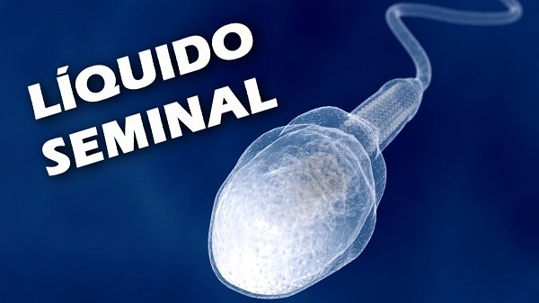 Líquido seminal, o que é?