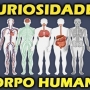 13 curiosidades sobre o corpo humano!