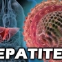 O que é Hepatite B? Sintomas e tratamento!