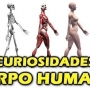 As principais curiosidades sobre o corpo humano!