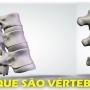 Coluna vertebral tem quantas vértebras?