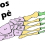 Quais são os ossos do pé? Tarso, Metatarso e Falange